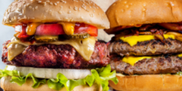 Imagem do Slide do Produto